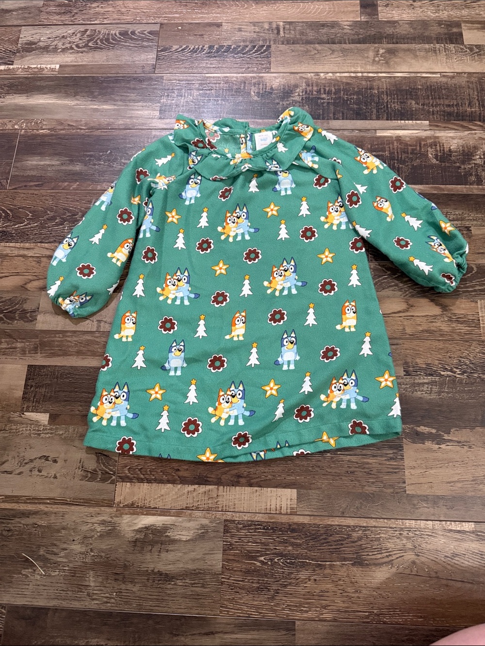 Bluey Hanna Andersson Green Long-Sleeve Nightgown with Bluey Character Print